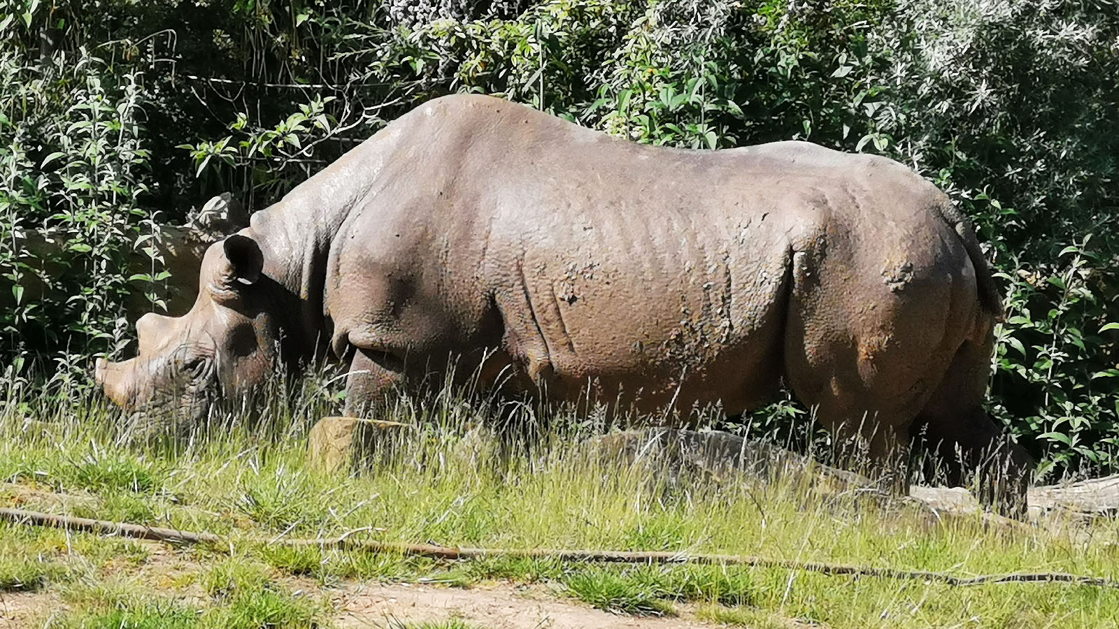 Ein Besuch im Zoo Krefeld