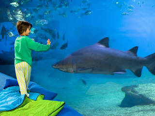 Palma Aquarium Mallorca © Palma Aquarium Mallorca