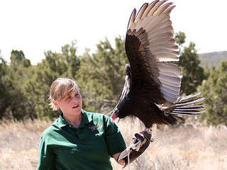 Der Wildlife West Nature Park in New Mexico © John Weckerle